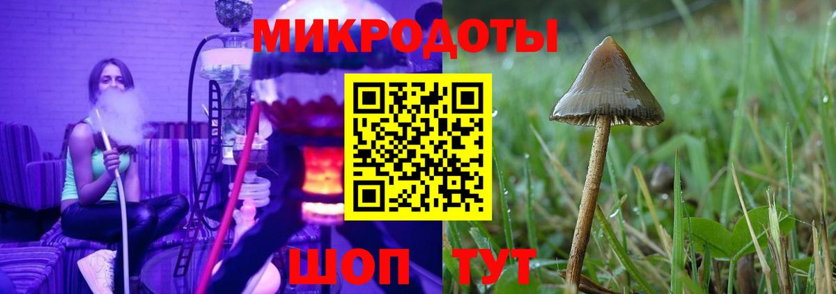Галлюциногенные грибы GOLDEN TEACHER  Псилоцибиновые грибы Psilocybine cubensis  Вход с VPN  Саратов 